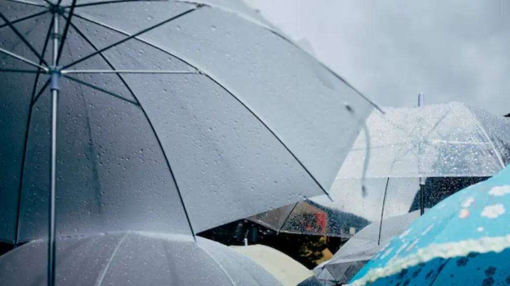 Siguen las lluvias para buena parte de Tamaulipas este 29 de mayo