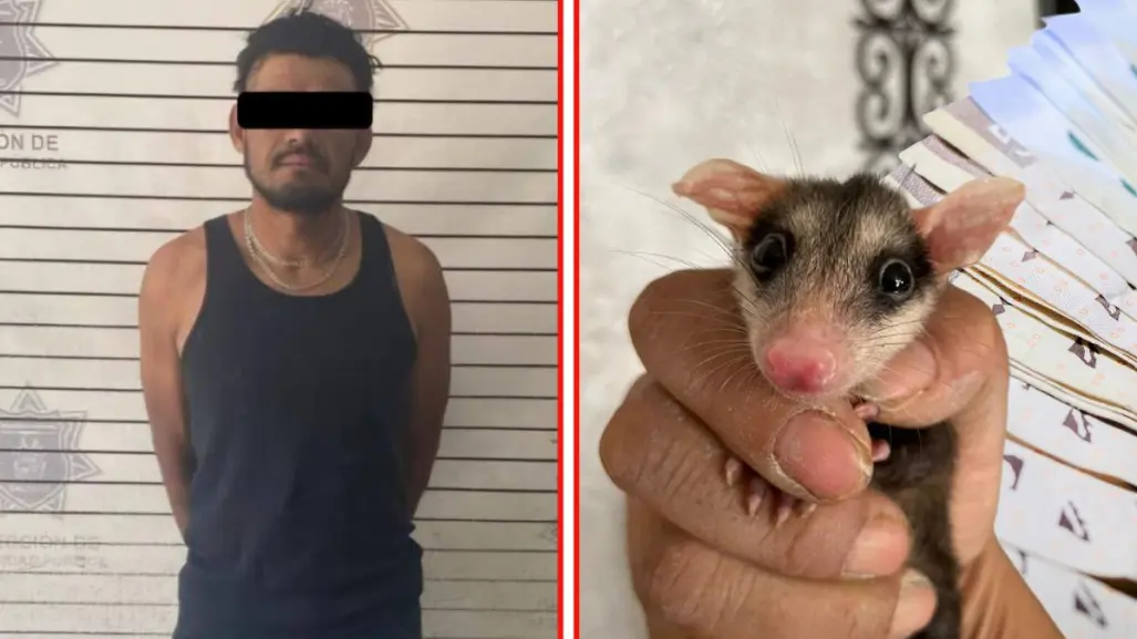 Maltrato animal en Saltillo, esto puede que pagar el asesino de tlacuaches en Coahuila