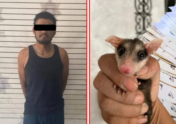 Maltrato animal en Saltillo, esto puede que pagar el asesino de tlacuaches en Coahuila