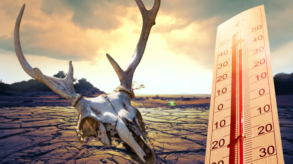 Ola de calor: 5 formas en las que las altas temperaturas afectan tu forma de vida