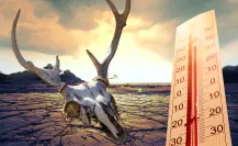 Ola de calor: 5 formas en las que las altas temperaturas afectan tu forma de vida