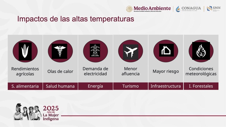 imagen-cuerpo imagen-cuerpo