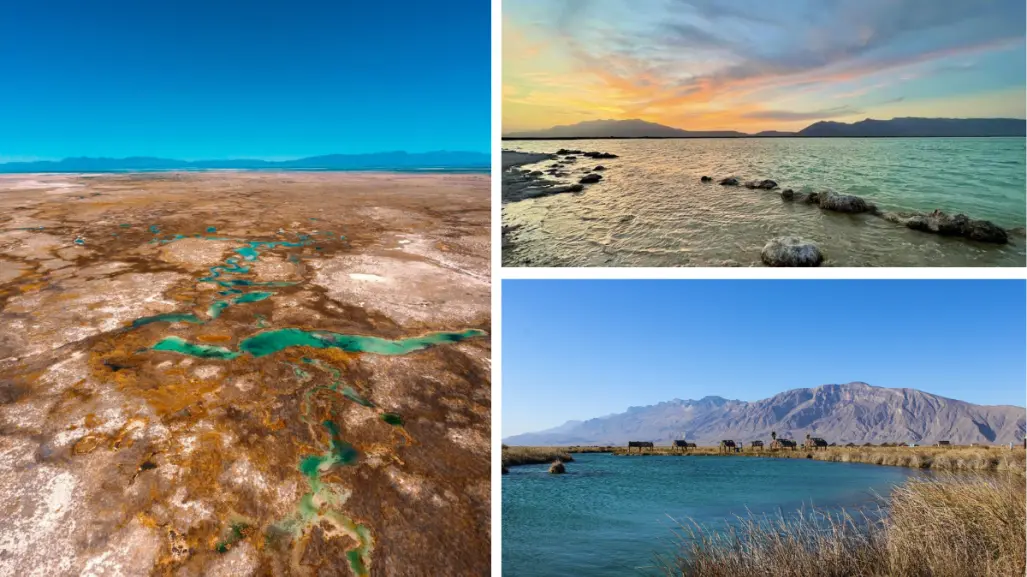 Río nativo de Coahuila San Marcos, agua que atraviesa el corazón del desierto