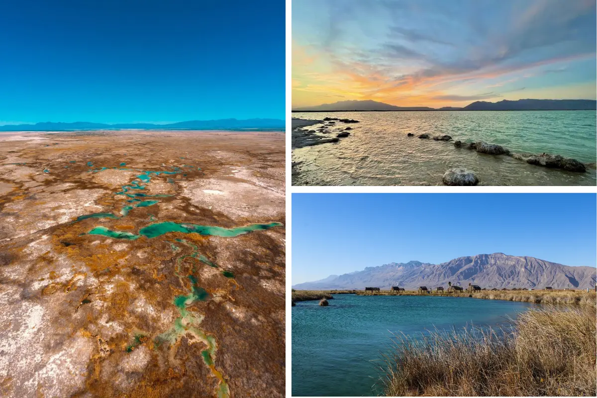 Este río no solo es un oasis visual, sino también un refugio de biodiversidad./Foto: FB Secretaría de Turismo de México/ cris.gzaa/ Quinta el Edén