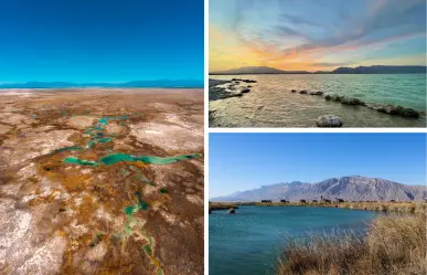 Río nativo de Coahuila San Marcos, agua que atraviesa el corazón del desierto