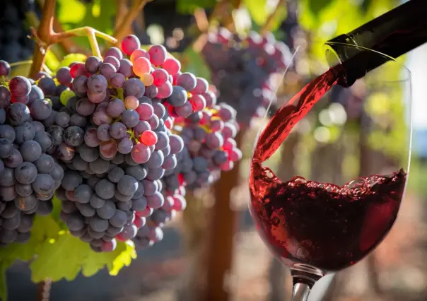 Este es el vino nativo de Coahuila más joven 