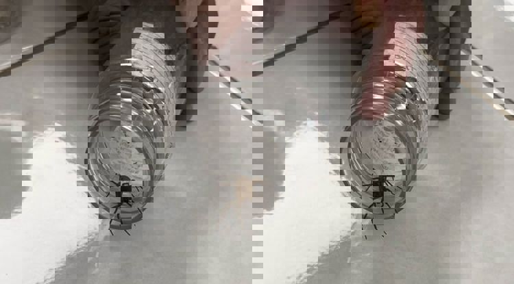 imagen-cuerpo imagen-cuerpo