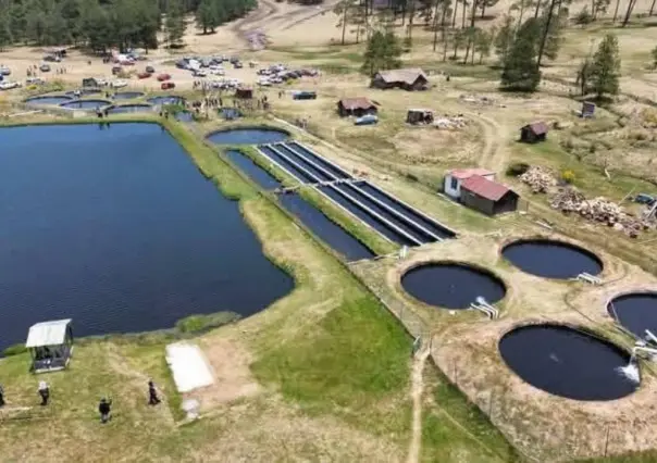 El parque en Edomex donde puedes pescar, acampar y relajarte por solo 50 pesos