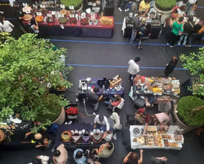 Chocolate Fest en el Día del Padre: esto debes saber del evento que se viene en CDMX