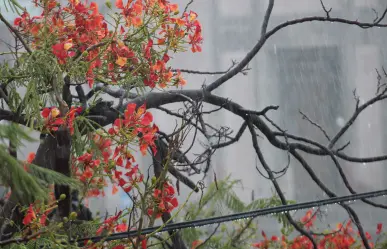 Posibilidad de lluvias para BCS por Alvin; este es el pronóstico del clima para hoy viernes 30 de mayo
