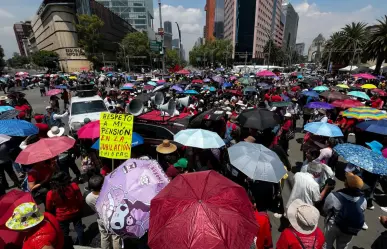 Plantón de la CNTE no se va: "Si su apuesta es por el cansancio, se equivocan"