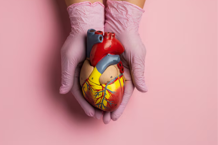 imagen-cuerpo imagen-cuerpo