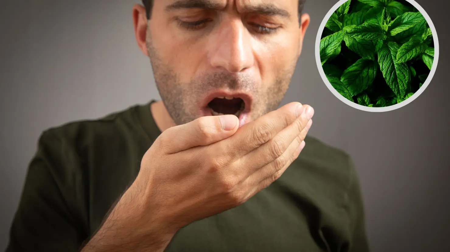 La menta en Nuevo León contiene propiedades antibacterianas que ayudan a eliminar los microorganismos causantes del mal aliento. Foto: Canva