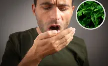 Esta planta nativa de Nuevo León es la solución natural para el mal aliento