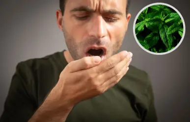 Esta planta nativa de Nuevo León es la solución natural para el mal aliento