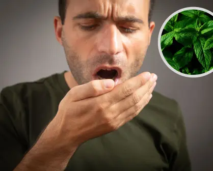 Esta planta nativa de Nuevo León es la solución natural para el mal aliento