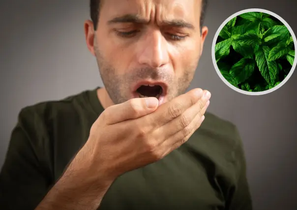 Esta planta nativa de Nuevo León es la solución natural para el mal aliento