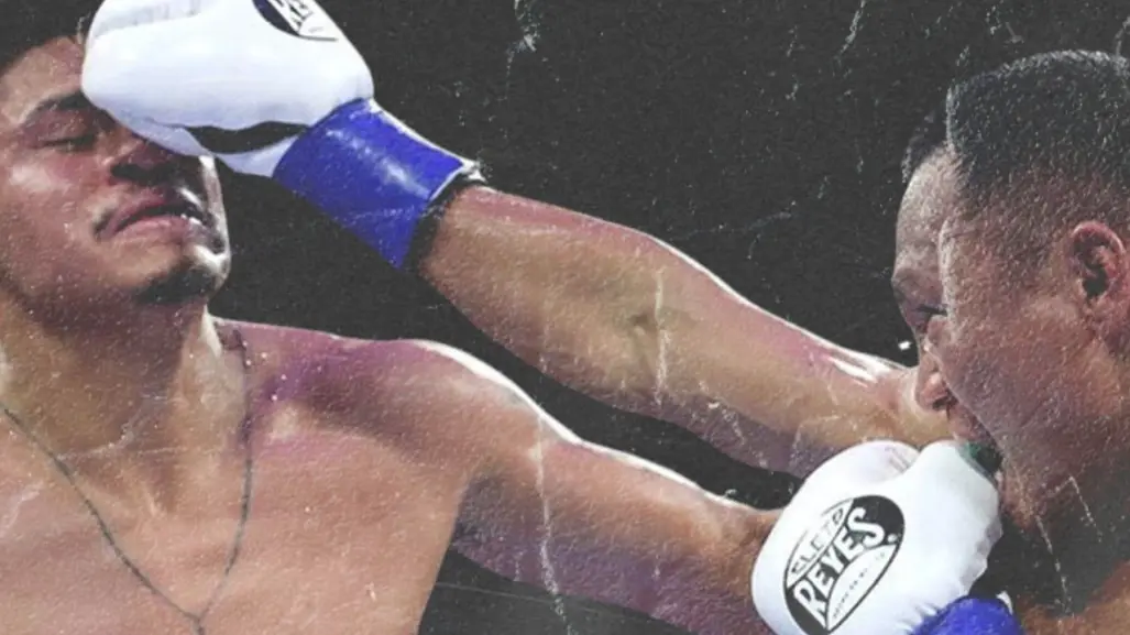 VIDEO | De un taller en Edomex a Hollywood: así nacieron los guantes de box favoritos de los campeones