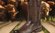 ¿Qué tipo de botas se venden en la Pulga Vaquera de San Luis Potosí? Estos son algunos modelos