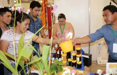 Este viernes comienza en Mérida la Expo Foro Ambiental en su novena edición