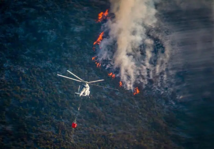 Incendio en la Sierra de Arteaga 2021 / Foto: Protección Civil