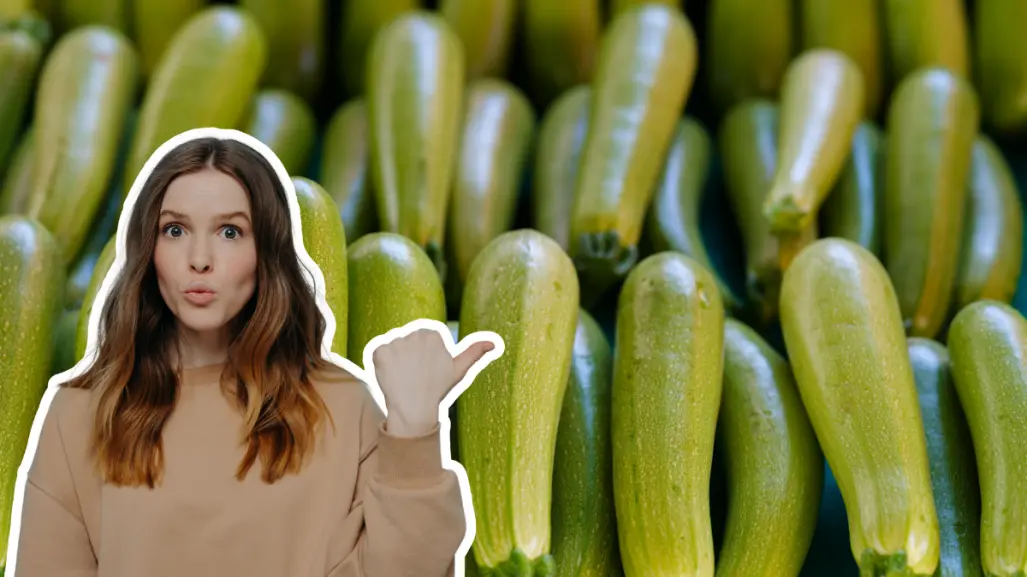 Planta nativa de Coahuila, la calabacita en la cocina y la salud