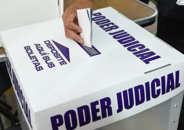 Sí puedes llevar tu acordeón a votar en Tamaulipas, pero debe ser personal: INE