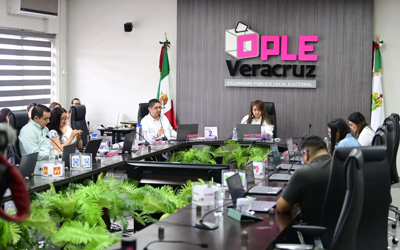 OPLE Veracruz en sesión. Foto: Facebook (OPLE Veracruz)