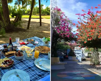 3 parques escondidos en La Paz para escapar del ruido y respirar tranquilidad