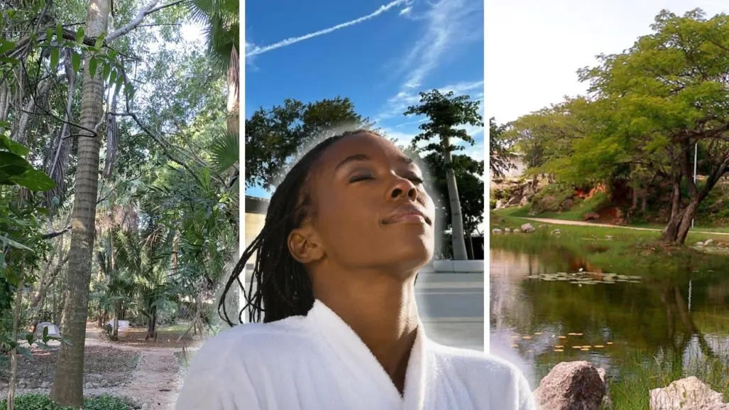 3 parques en Mérida perfectos para conectar con la naturaleza sin salir de la ciudad