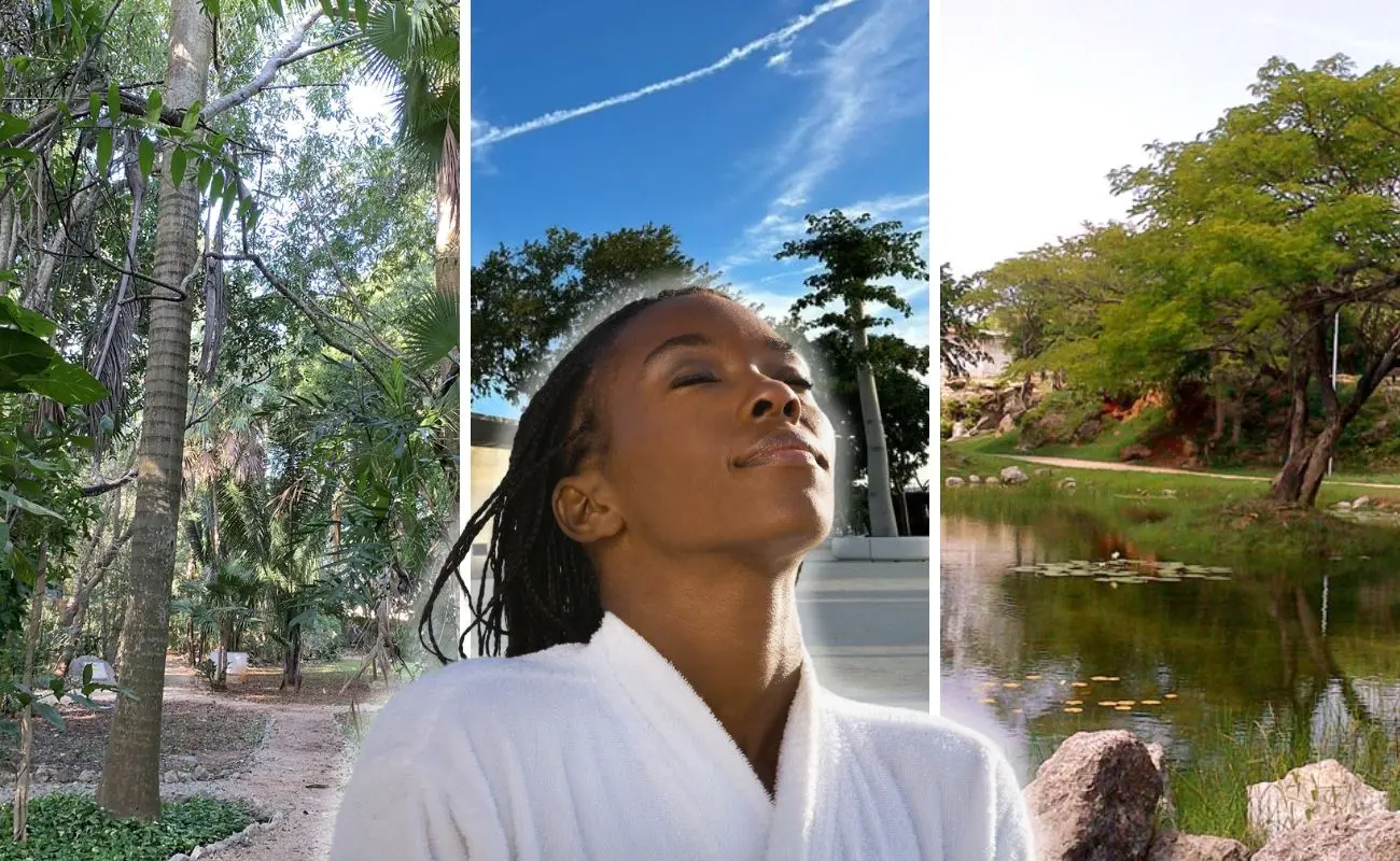 ¿Qué ofrece el Parque Ecológico del Poniente? Foto: CICY | Visita México | @LaPlancha