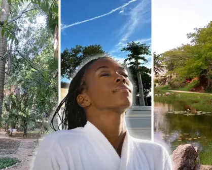 3 parques en Mérida perfectos para conectar con la naturaleza sin salir de la ciudad