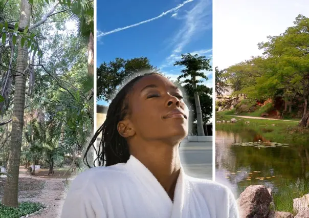 3 parques en Mérida perfectos para conectar con la naturaleza sin salir de la ciudad