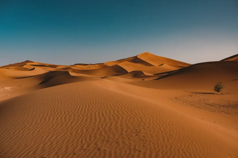 Desde el desierto del Sahara en África, se prevé la llegada de polvo a Tamaulipas. Foto: Freepik 
