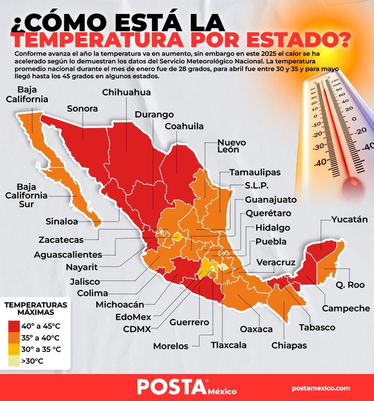 imagen-cuerpo imagen-cuerpo