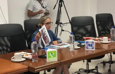 Denuncian partidos irregularidades cometidas por funcionarios del OPLE e INE