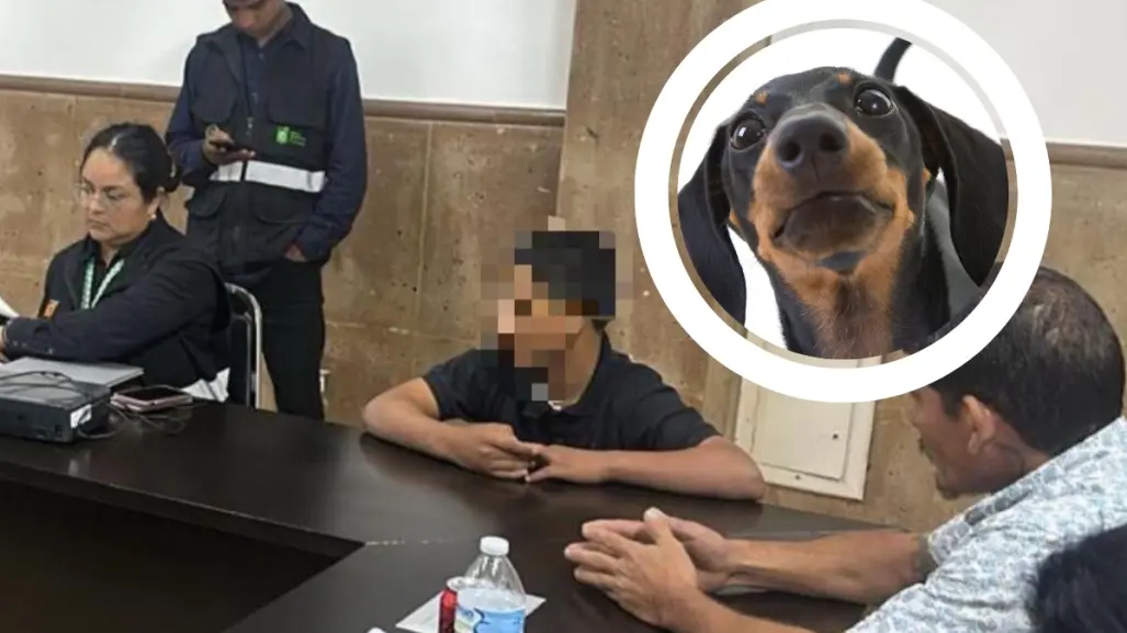 Detienen a joven por brutal maltrato a perrito en Sabinas Hidalgo