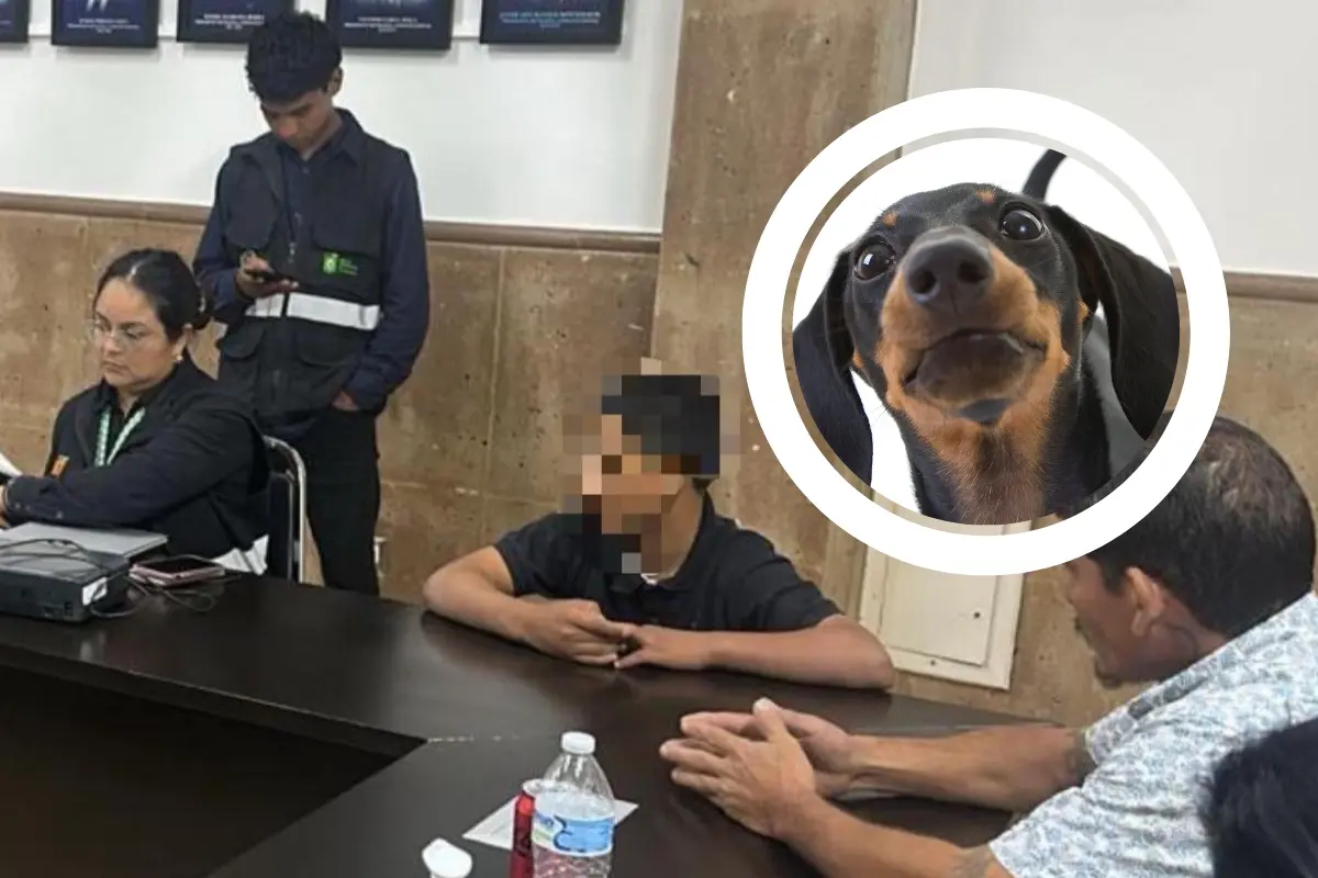 Detenido por maltrato animal en Sabinas Hidalgo y un perrito. Foto: Canva