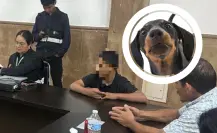 Detienen a joven por brutal maltrato a perrito en Sabinas Hidalgo