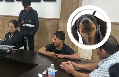 Detienen a joven por brutal maltrato a perrito en Sabinas Hidalgo