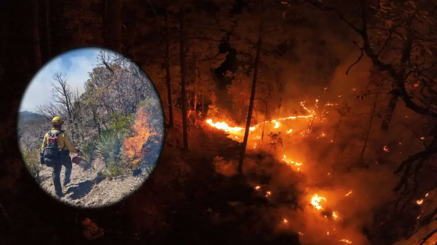 Foto: X/@CONAFOR | Este fue el efecto que tuvieron las lluvias de este sábado en los incendios de Durango.