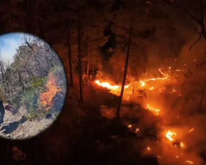 Esto le hicieron las lluvias de este sábado en Durango a TODOS los incendios forestales