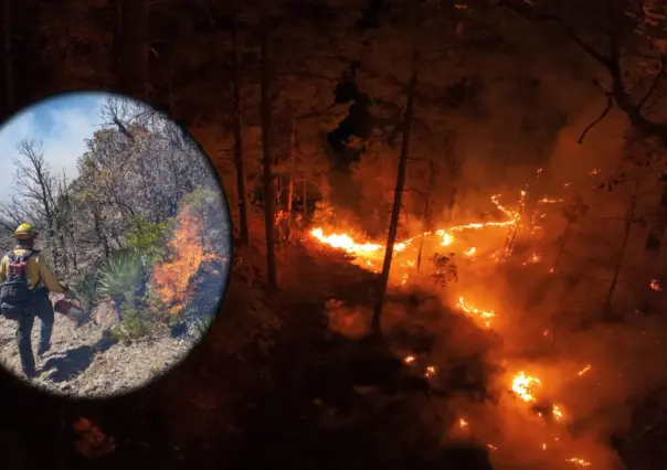 Esto le hicieron las lluvias de este sábado en Durango a TODOS los incendios forestales
