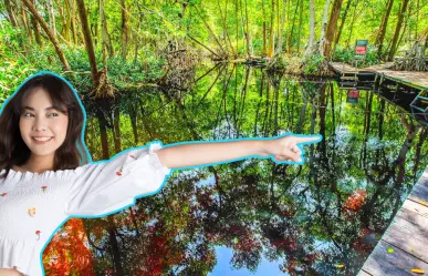 No son cenotes ni mar, los manantiales donde brota el agua en Yucatán