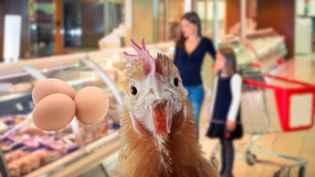 ¿Subirán?, este es el precio del pollo y el huevo en CDMX para junio