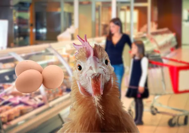 ¿Subirán?, este es el precio del pollo y el huevo en CDMX para junio