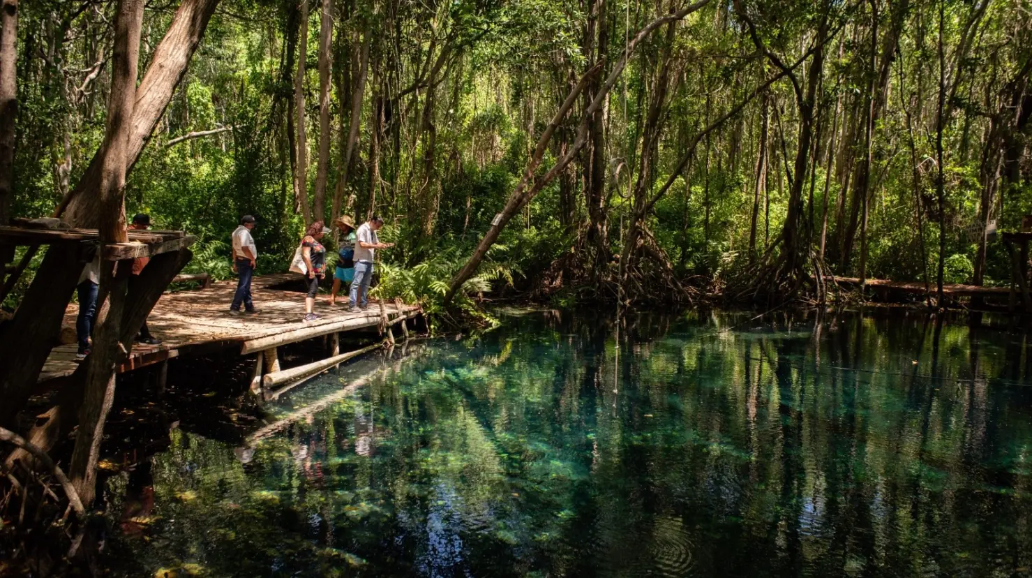 ¿Por qué Dzilam de Bravo es clave para el turismo sustentable en Yucatán? Foto: Cortesía