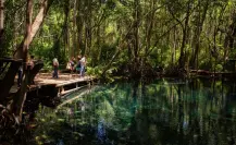 Dzilam de Bravo impulsa el turismo comunitario con apoyo del Renacimiento Maya