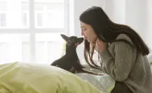 5 razas de perros ideales para vivir en un departamento