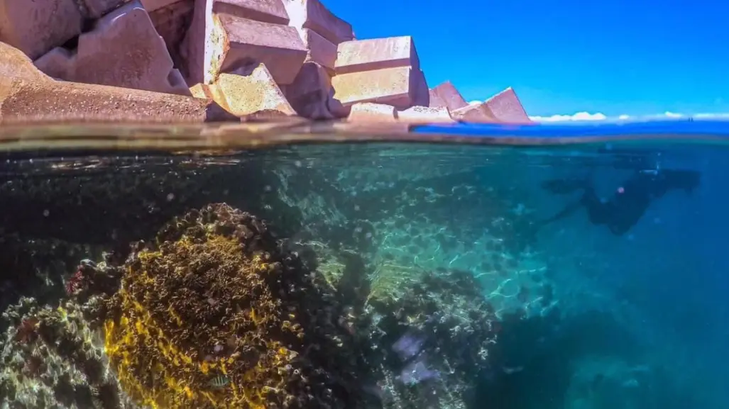 Tamaulipas se suma a Estrategia nacional de limpieza y conservación de las playas